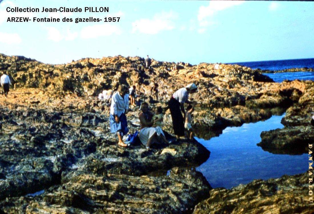 Arzew 193- Pillon.jpg